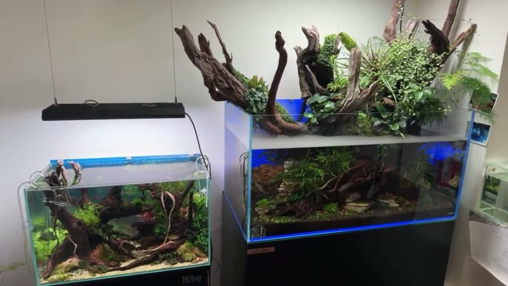 900TV
