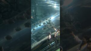 Aquarium-europe-travel-cellphone-waterfall-underwater-touristspot-beautiful-mobilephone
