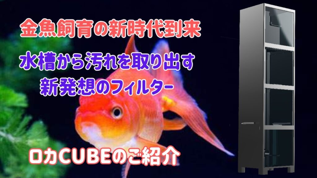 CUBE
