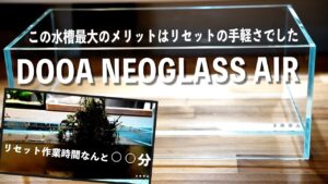 DOOA-NEO-GLASS-AIRaquascape-aquarium-ADA