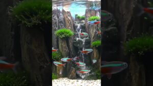 Relaxing-Aquarium-Waterfall-Sounds-Natural-ASMR-for-Sleep-Focus-No-Talking-4K