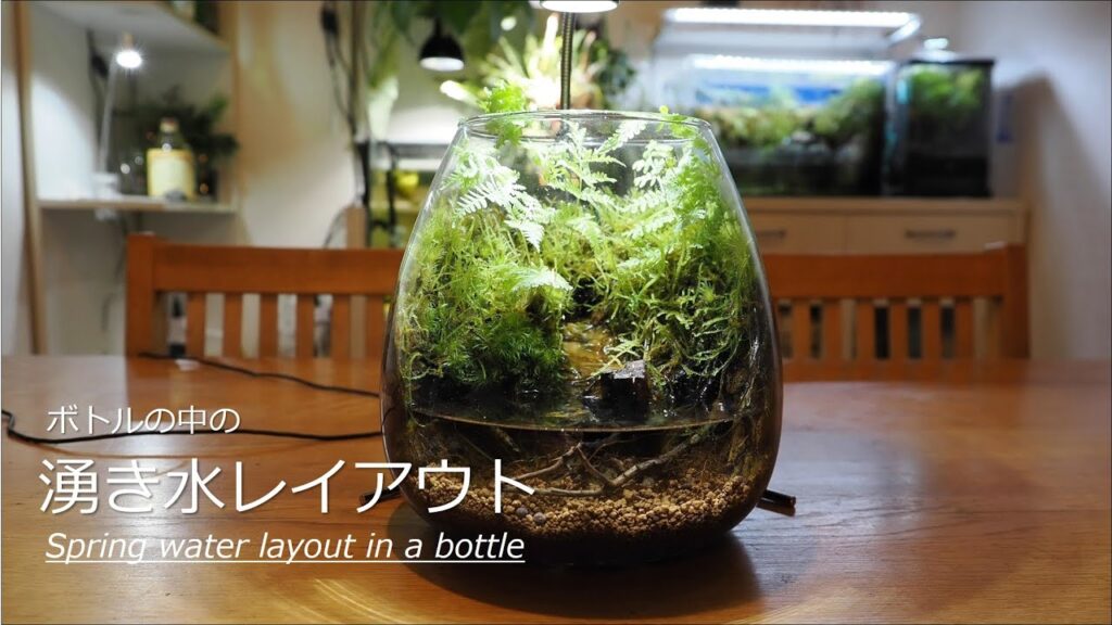Spring-water-layout-in-a-bottle