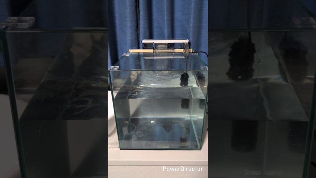 aquarium-1
