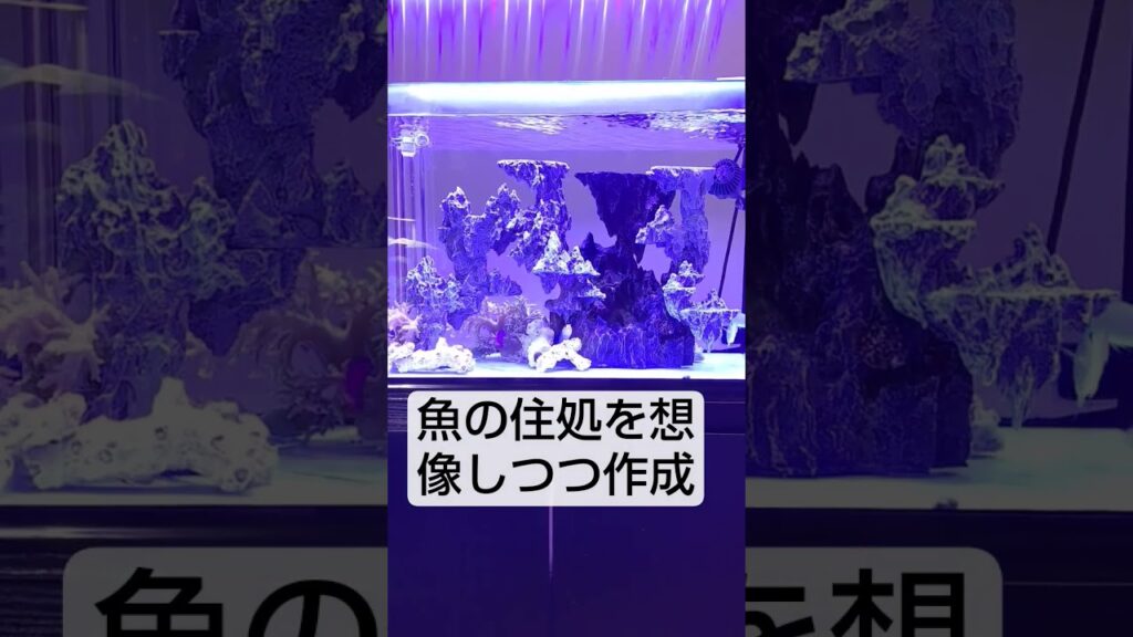aquarium-fish-aquariumtank