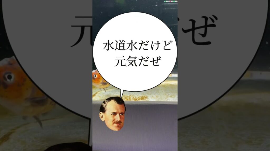 unnamed-file-16