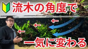 vbp-10215-