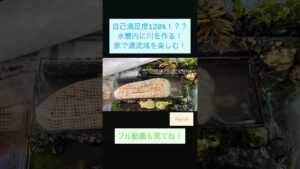 120Part5-aquarium-