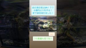 120Part6-aquarium-