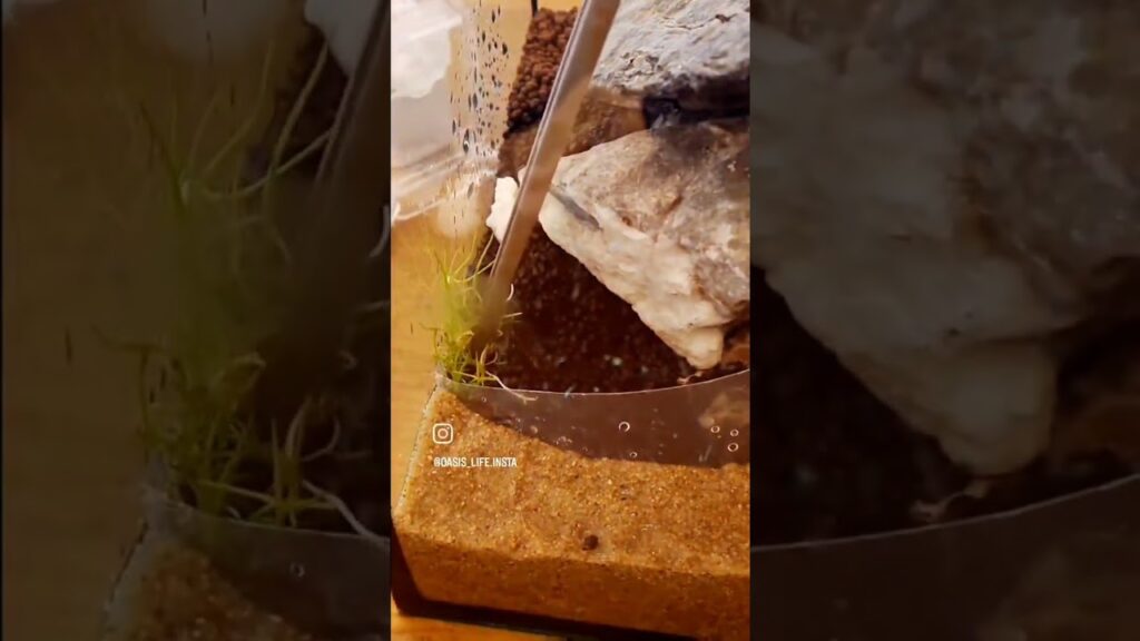 15cmhighaquarium-aquascape-aquariumhobby
