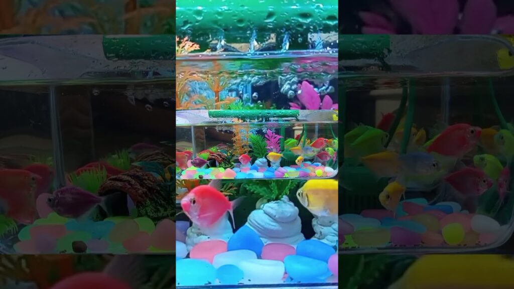 ASMR-Calm-The-Relaxing-Ambiance-of-a-Mini-Waterfall-Aquarium-