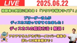LIVEOK-10