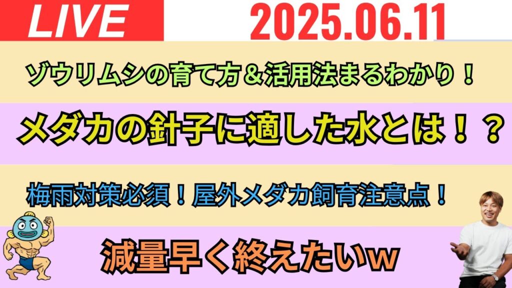 LIVEOK-2