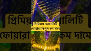 Waterfall-Aquarium-shorts-aquarium-fishtank-newsfeed