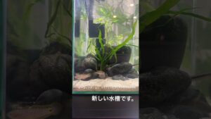 aquarium-1-4