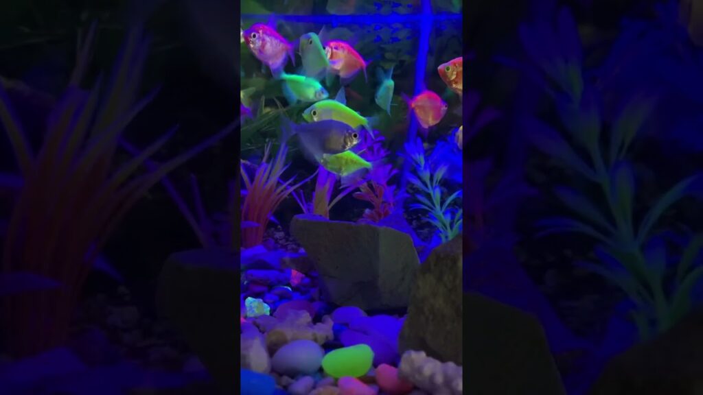 aquarium-ambience-nature-relax-waterfall