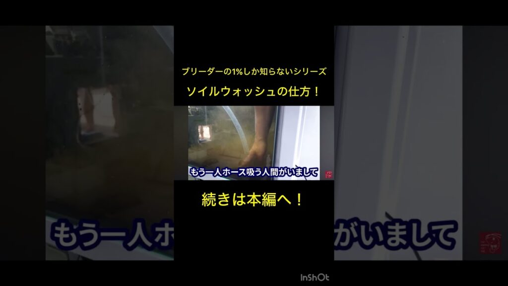 unnamed-file-1
