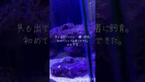 unnamed-file-16