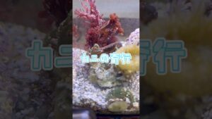 unnamed-file-22
