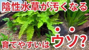 unnamed-file-4