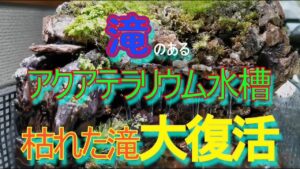 unnamed-file-6