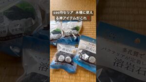 100-shorts-100-