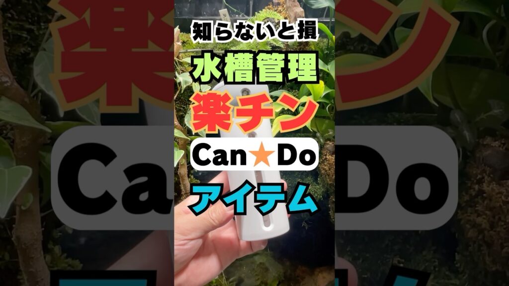 100-shorts-aquarium-