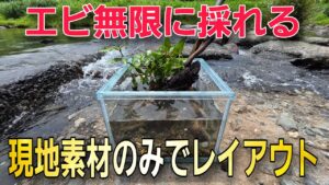 100aquarium