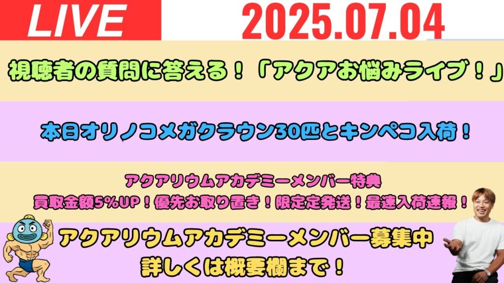 LIVEOK-2