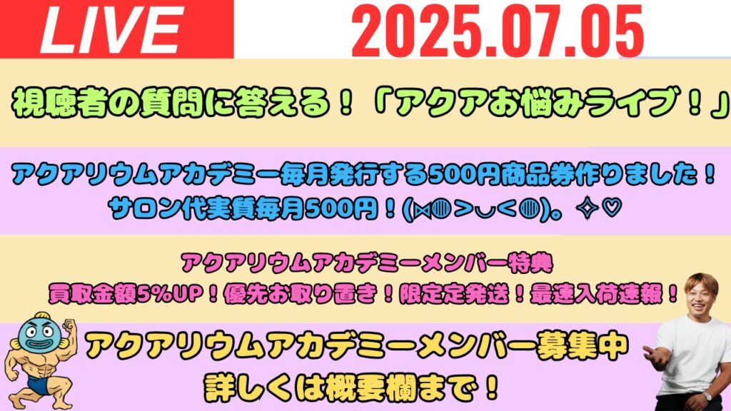 LIVEOK-3