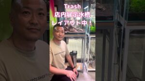 Trashaquarium-ada-shorts