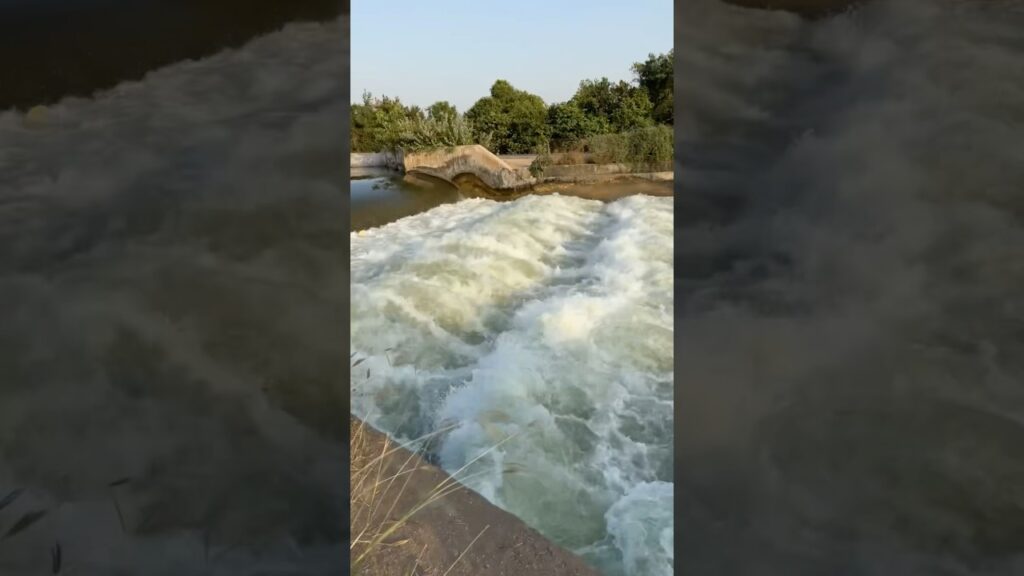 Watch-the-end-music-song-india-tranding-viralvideo-views-like-youtubeshort-dailyshorts