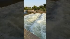 Watch-the-end-music-song-india-tranding-viralvideo-views-like-youtubeshort-dailyshorts