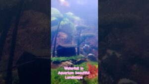 Waterfall-in-Aquarium-Beautiful-Landscape-relax-rainoundforsleep-relaxing-diy