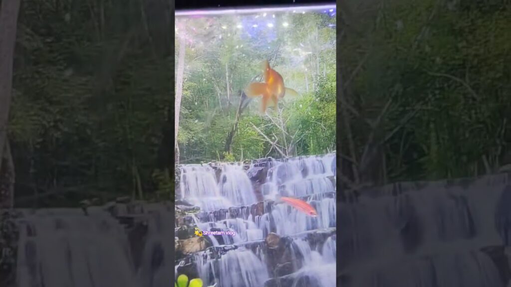my-room-nutral-status-shortvideo-beutiful-waterfall-
