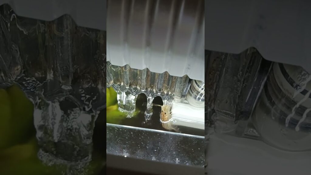 nature-shark-jaws-movie-trailer-film