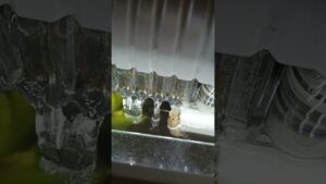 nature-shark-jaws-movie-trailer-film