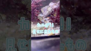 unnamed-file-10