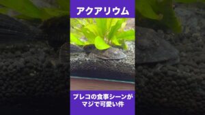 unnamed-file-15