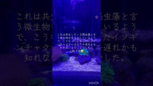 unnamed-file-33