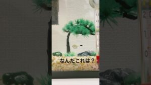unnamed-file-6