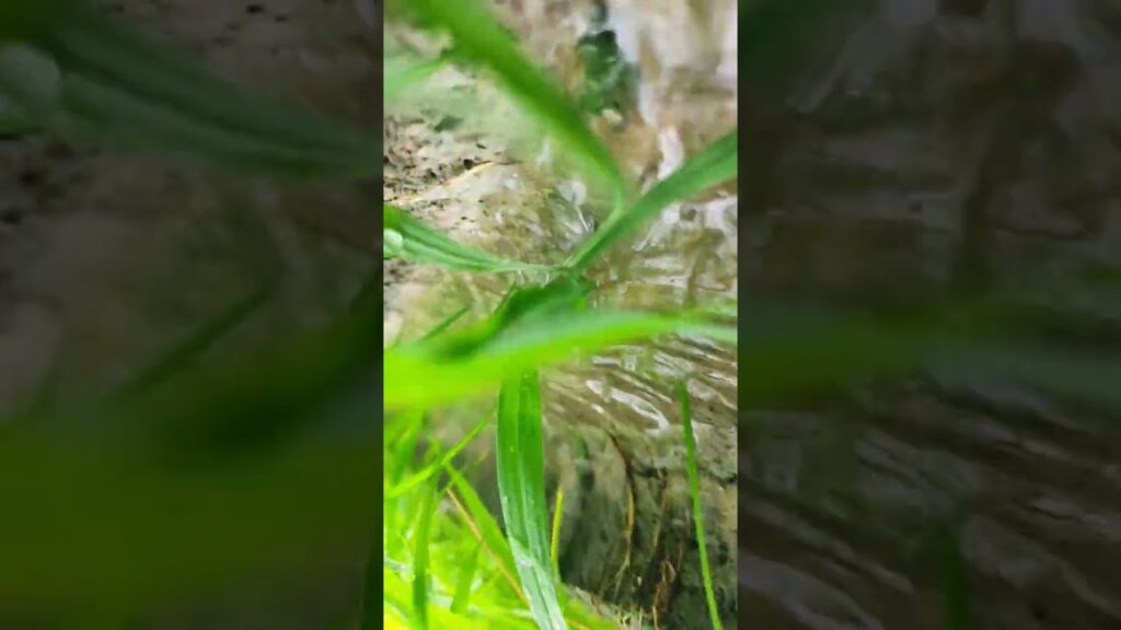 waterfall-river-water-pani-nadi-jharna-pahadi-nature-waterfall-aquarium-waterfeature