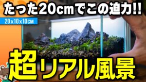20cm-nanotank