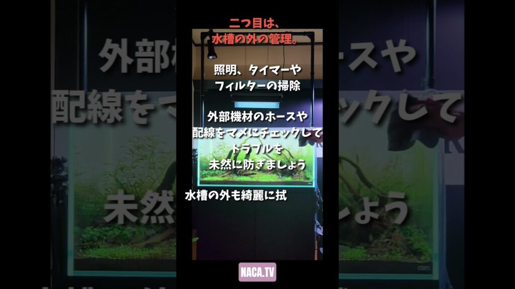 3-aquarium-natureaquarium-aquascape-