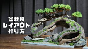 30cm-1-1