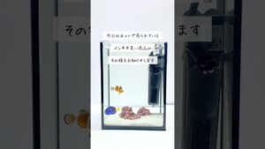 4000