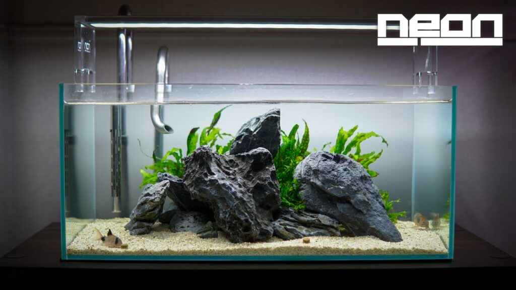 45cm-ne0n-