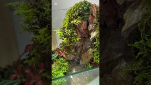 Beautiful-waterfall