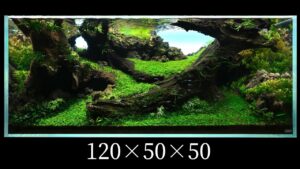 IAPLC2025-1205050cm-