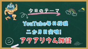 LIVEOK-2