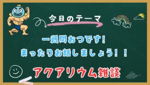 LIVEOK-5